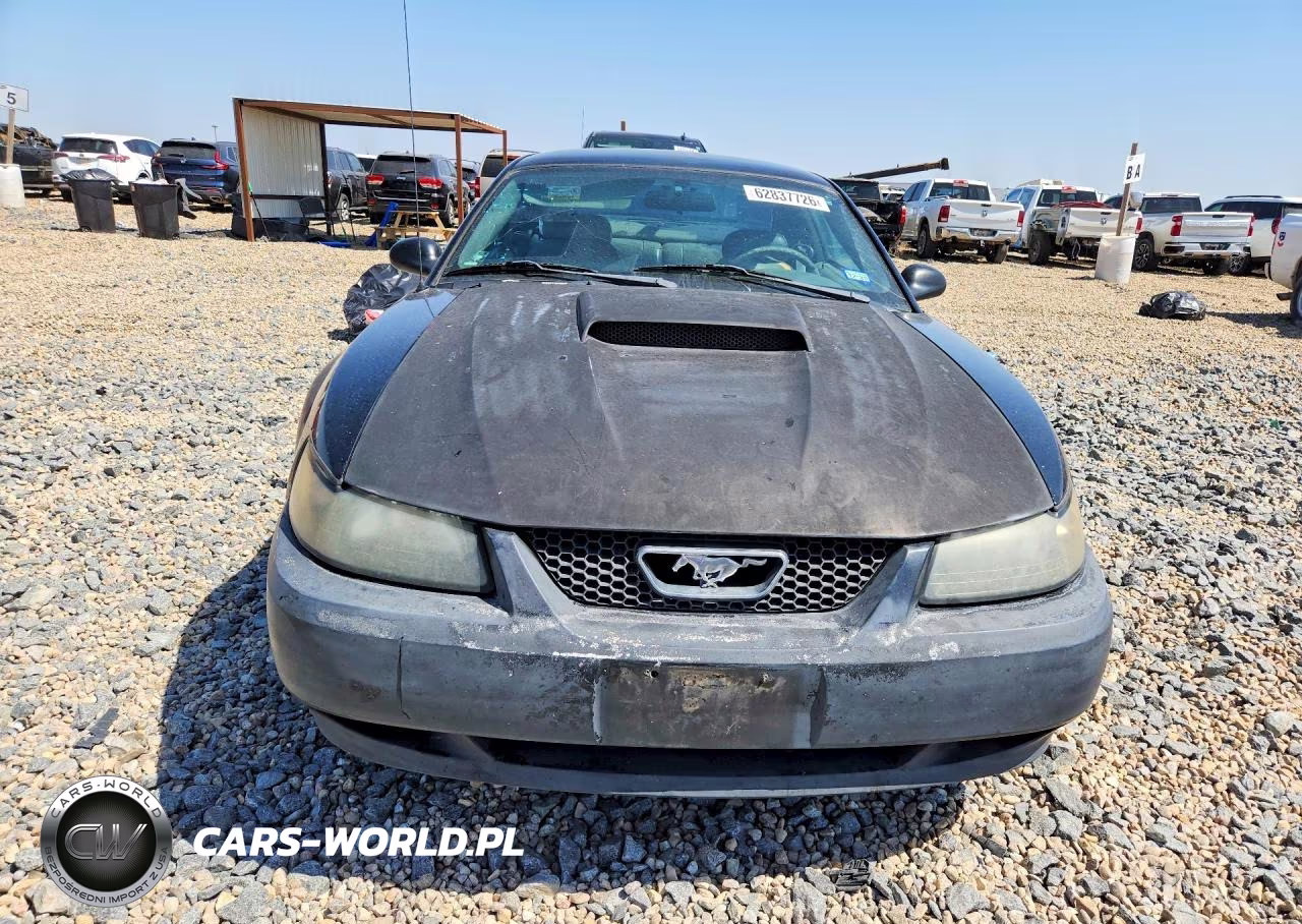 2003 Ford Mustang Gt VIN:1FAFP42X33F377503 - 5