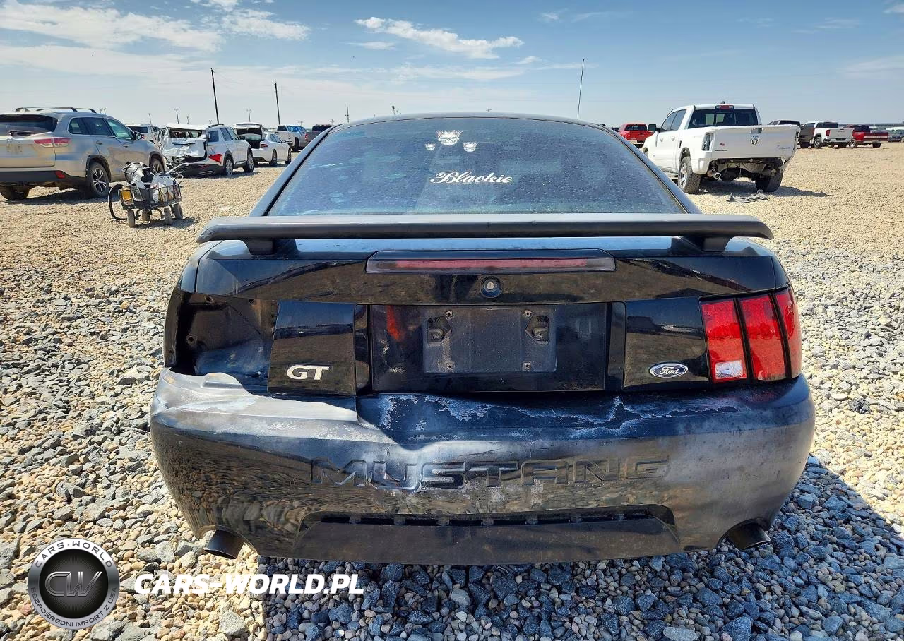 2003 Ford Mustang Gt VIN:1FAFP42X33F377503 - 6