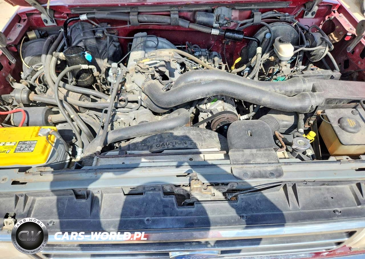 1991 Ford F150 VIN:1FTEX14H7MKB10867 - 11