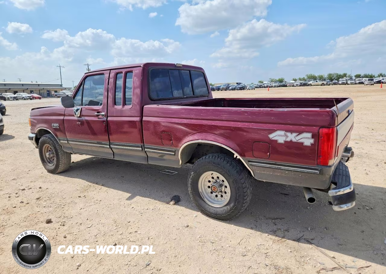 1991 Ford F150 VIN:1FTEX14H7MKB10867 - 2