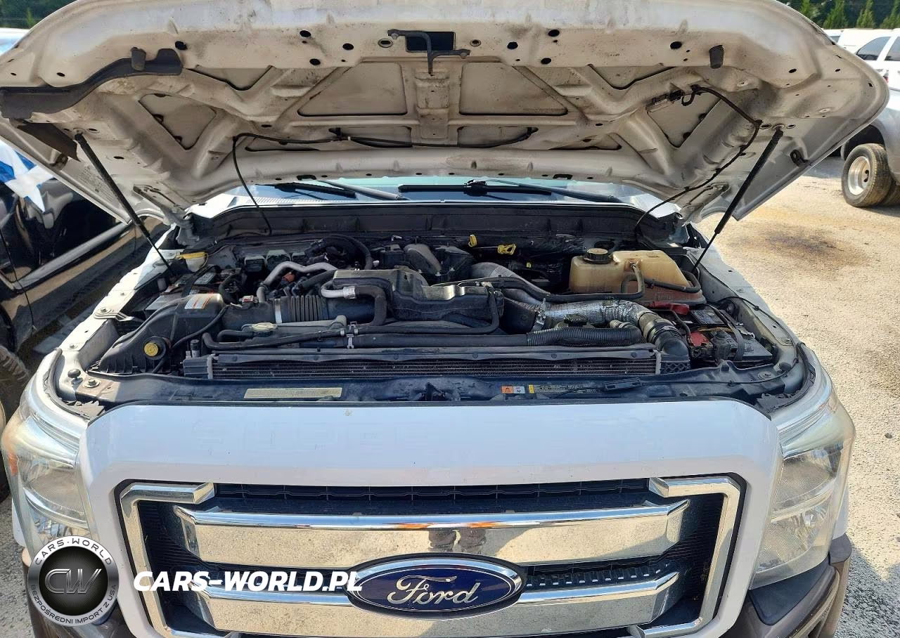 2016 Ford F350 Super Duty VIN:1FT8W3DT6GED08567 - 11