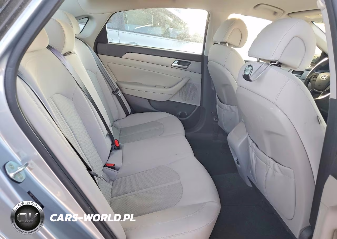 2015 Hyundai Sonata Eco VIN:5NPE24AA9FH117327 - 10