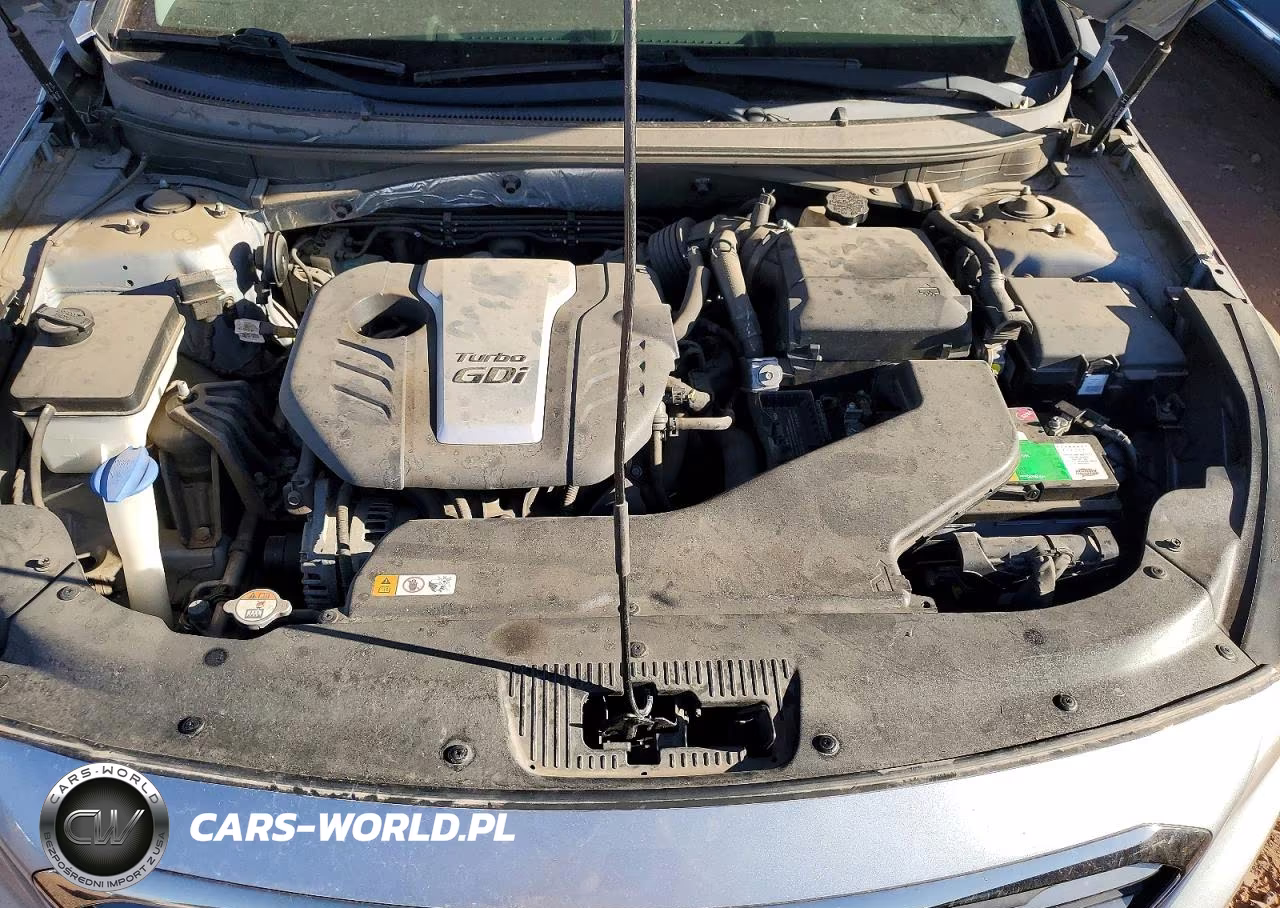 2015 Hyundai Sonata Eco VIN:5NPE24AA9FH117327 - 11