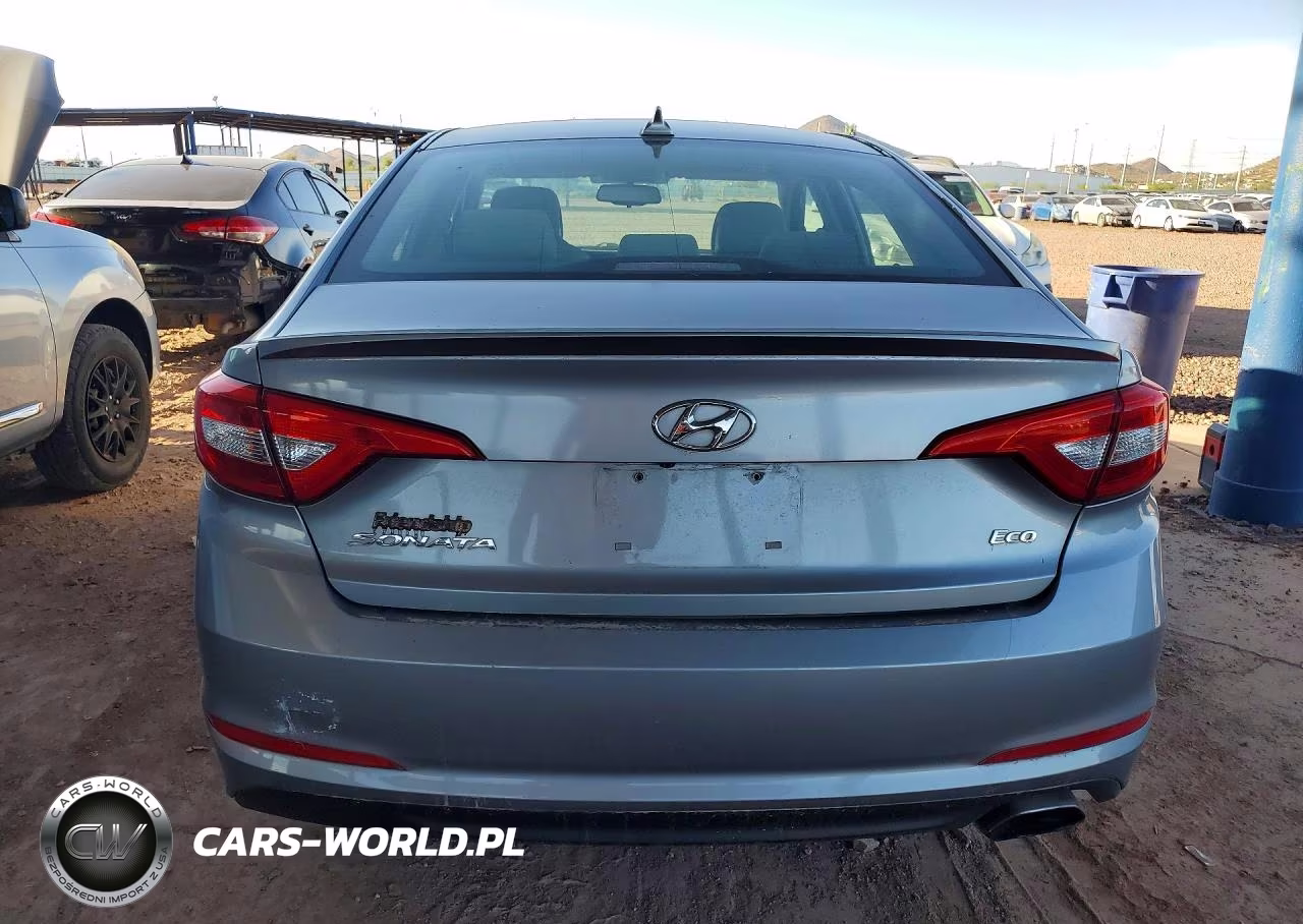 2015 Hyundai Sonata Eco VIN:5NPE24AA9FH117327 - 6