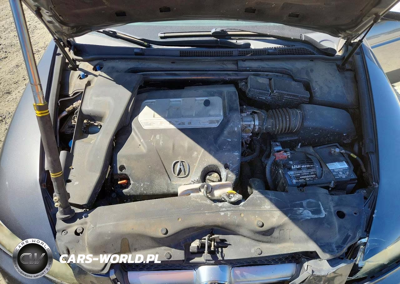 2008 Acura Tl VIN:19UUA66288A034902 - 11