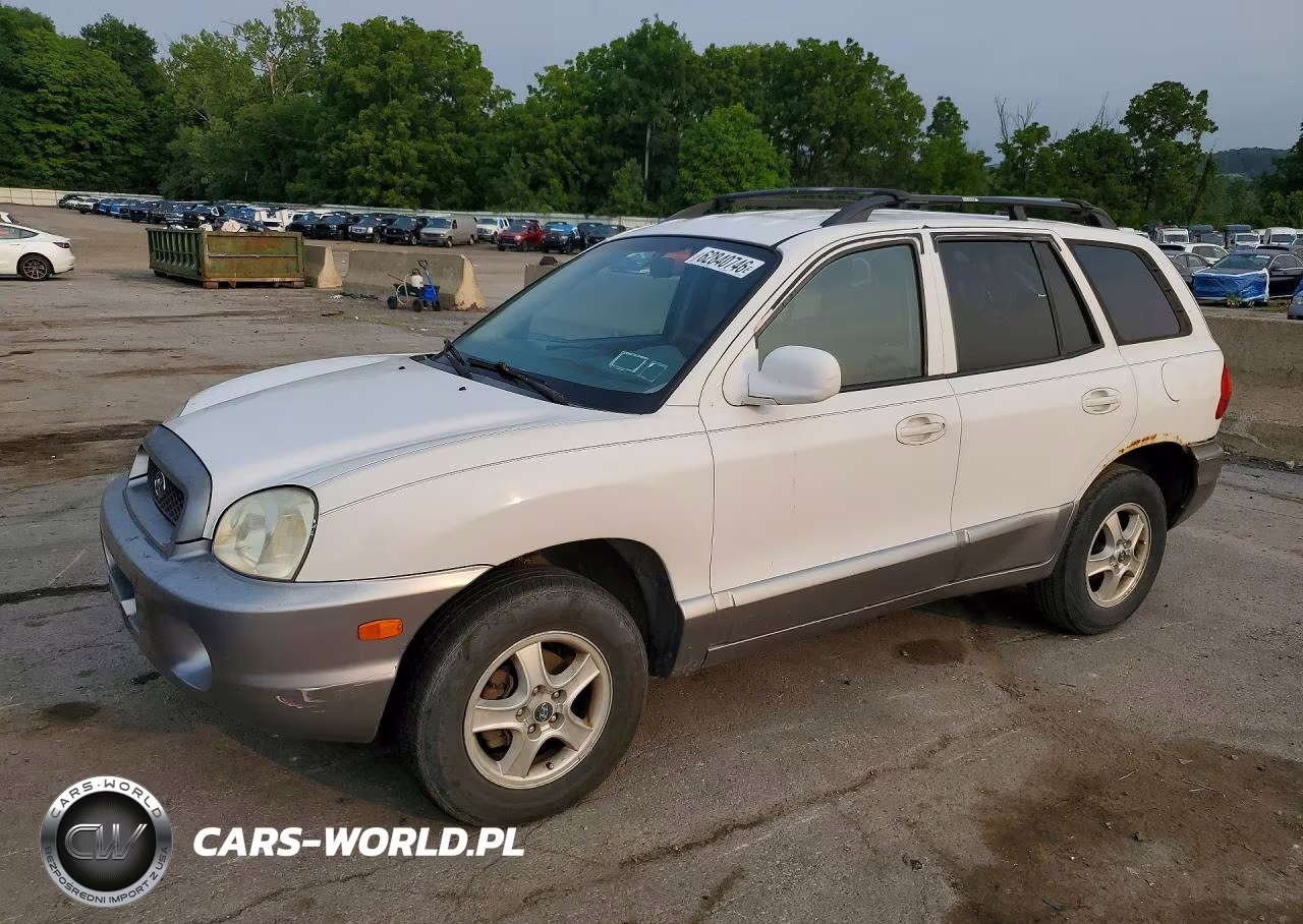 2004 Hyundai Santa Fe Base