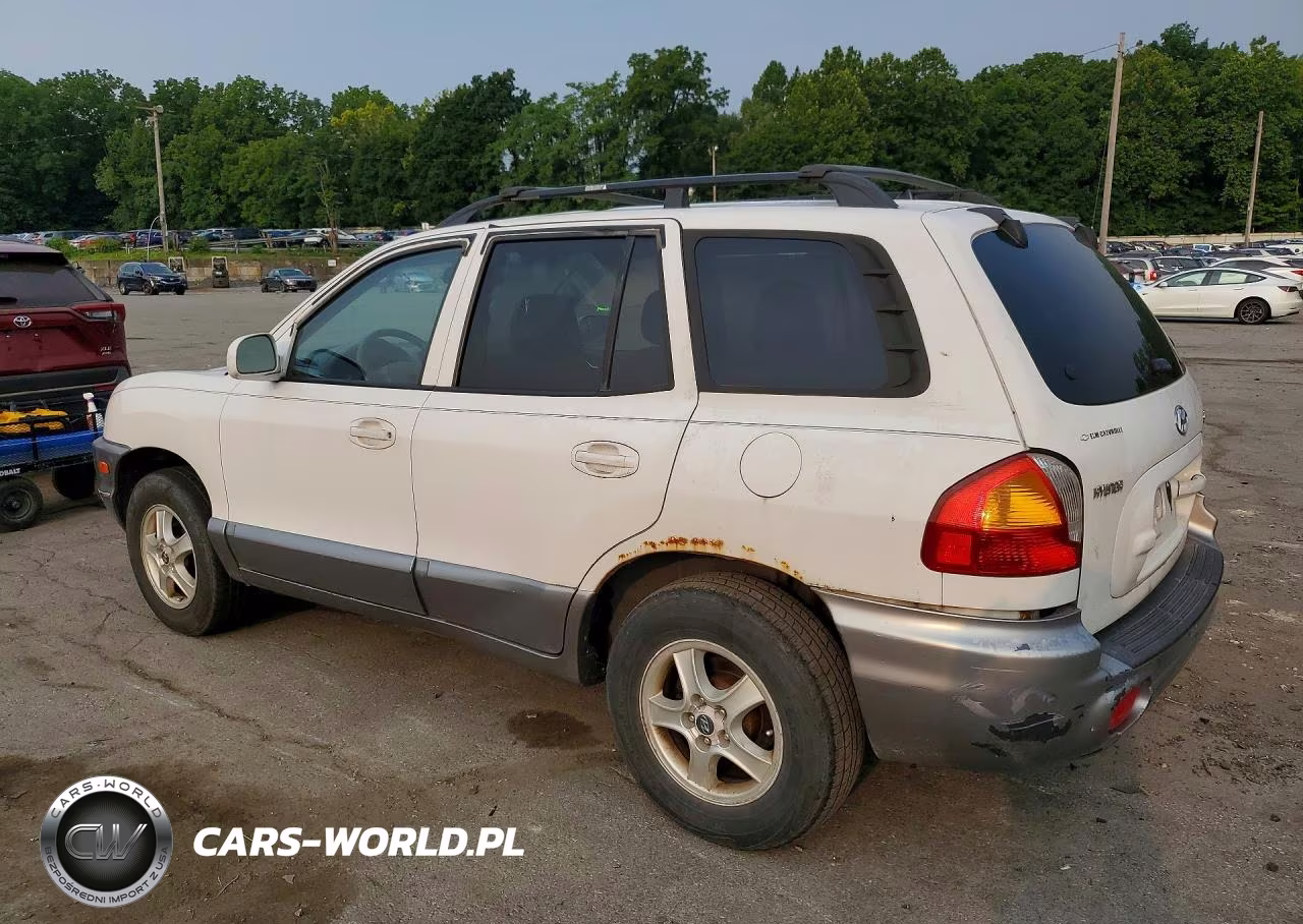 2004 Hyundai Santa Fe Base VIN:KM8SB12B74U819136 - 2