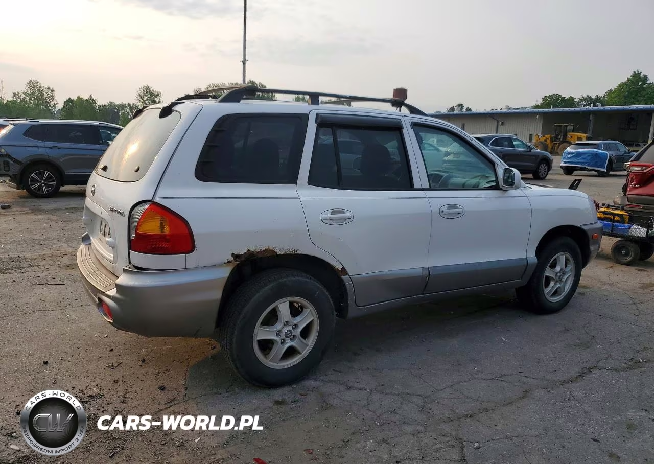 2004 Hyundai Santa Fe Base VIN:KM8SB12B74U819136 - 3