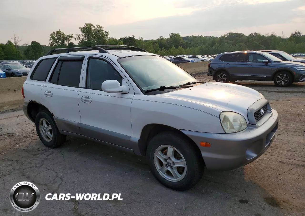 2004 Hyundai Santa Fe Base VIN:KM8SB12B74U819136 - 4