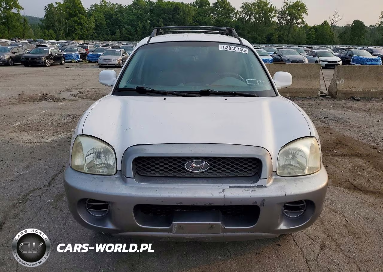 2004 Hyundai Santa Fe Base VIN:KM8SB12B74U819136 - 5