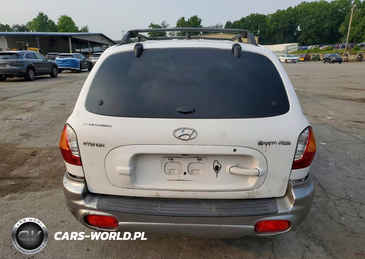 2004 Hyundai Santa Fe Base VIN:KM8SB12B74U819136 - 6