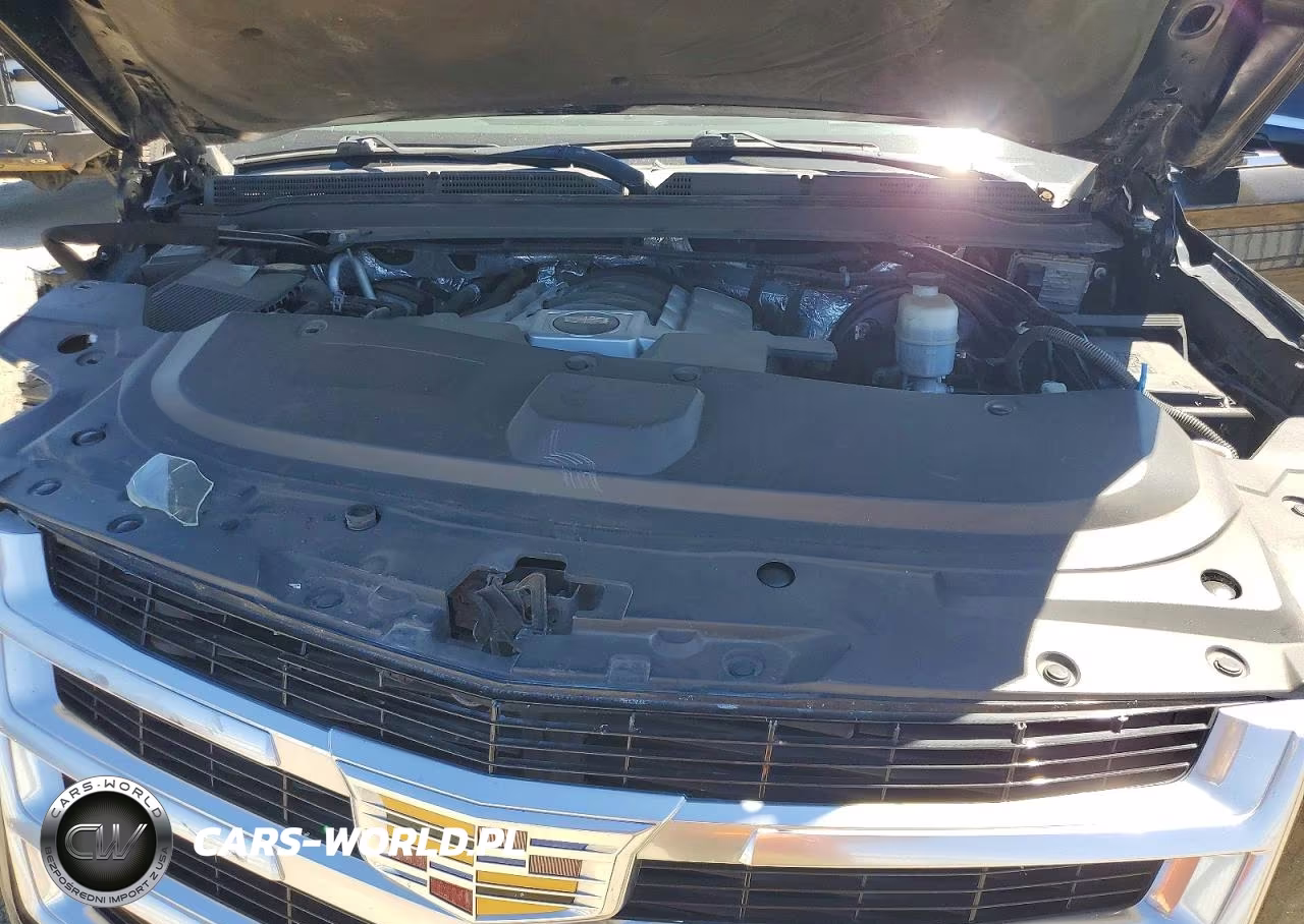 2015 Cadillac Escalade Premium VIN:1GYS4NKJ7FR728509 - 12