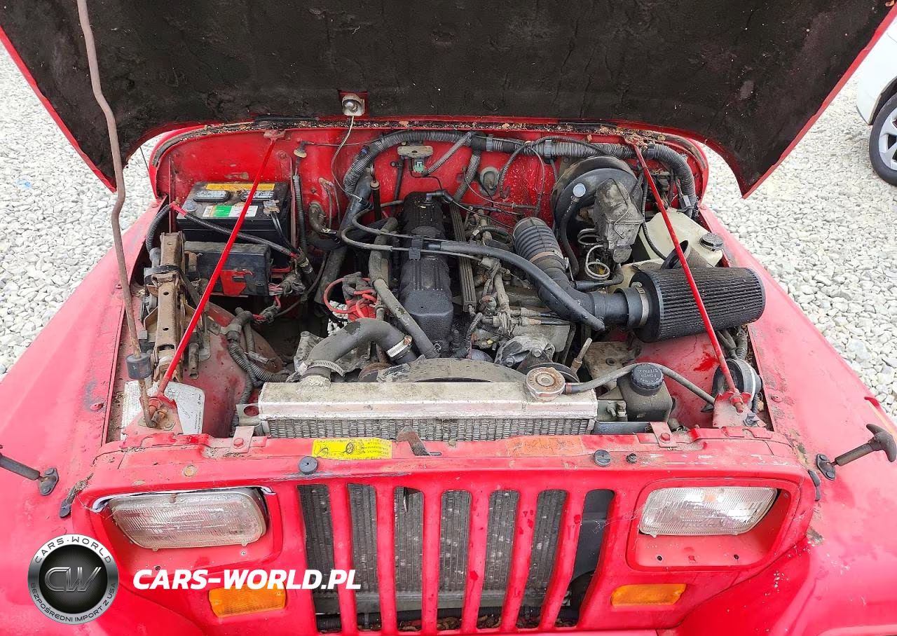 1991 Jeep Wrangler - Yj Renegade VIN:2J4FY69S6MJ117046 - 11