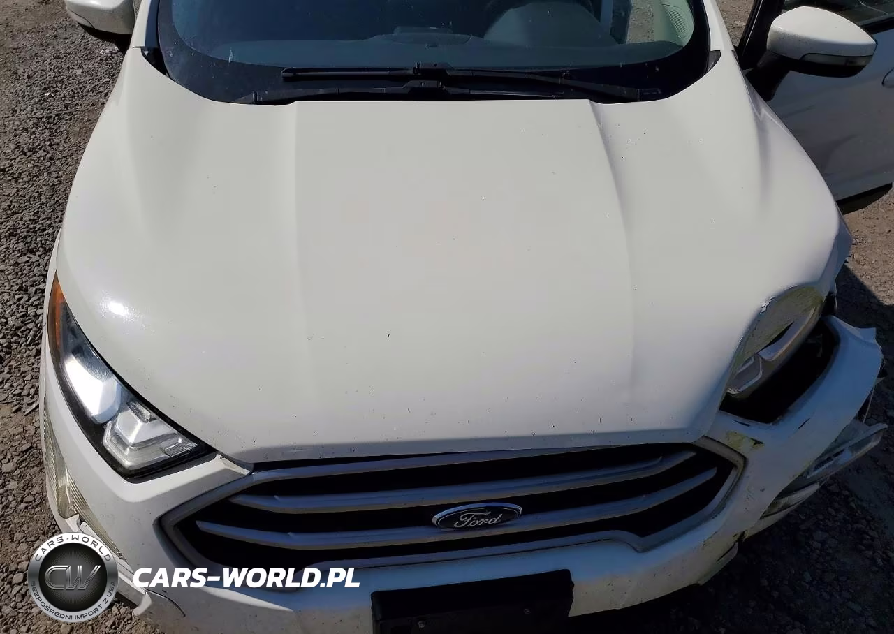 2020 Ford Ecosport Se VIN:MAJ6S3GL1LC387320 - 12