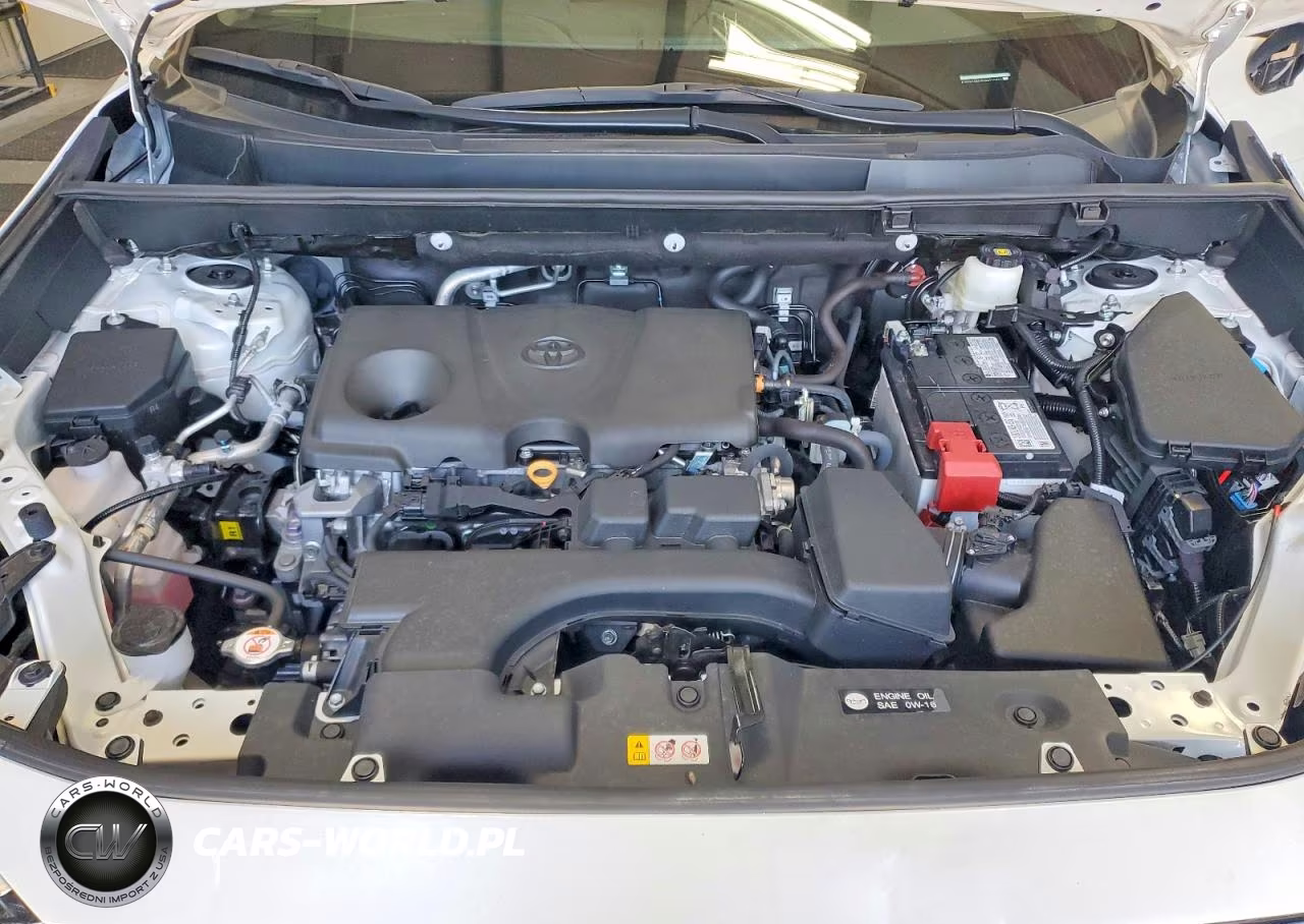 2024 Toyota Rav4 Xle Premium VIN:2T3C1RFV6RW339971 - 12