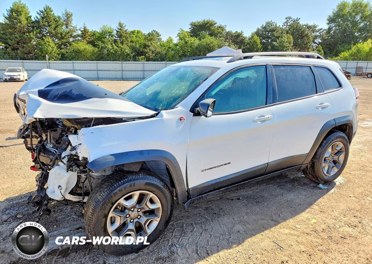 2019 Jeep Cherokee Trailhawk – zdjęcie 1 z 13