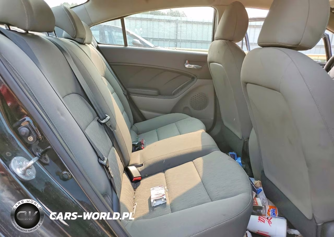 2015 Kia Forte Lx VIN:KNAFK4A63F5423355 - 10