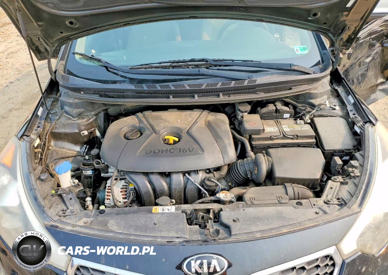 2015 Kia Forte Lx VIN:KNAFK4A63F5423355 - 11