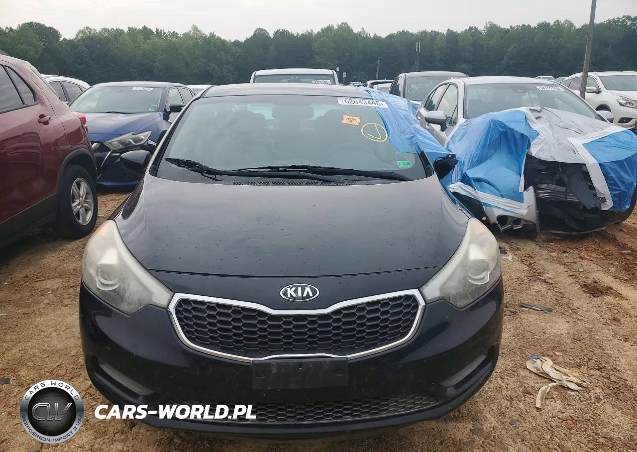 2015 Kia Forte Lx VIN:KNAFK4A63F5423355 - 5