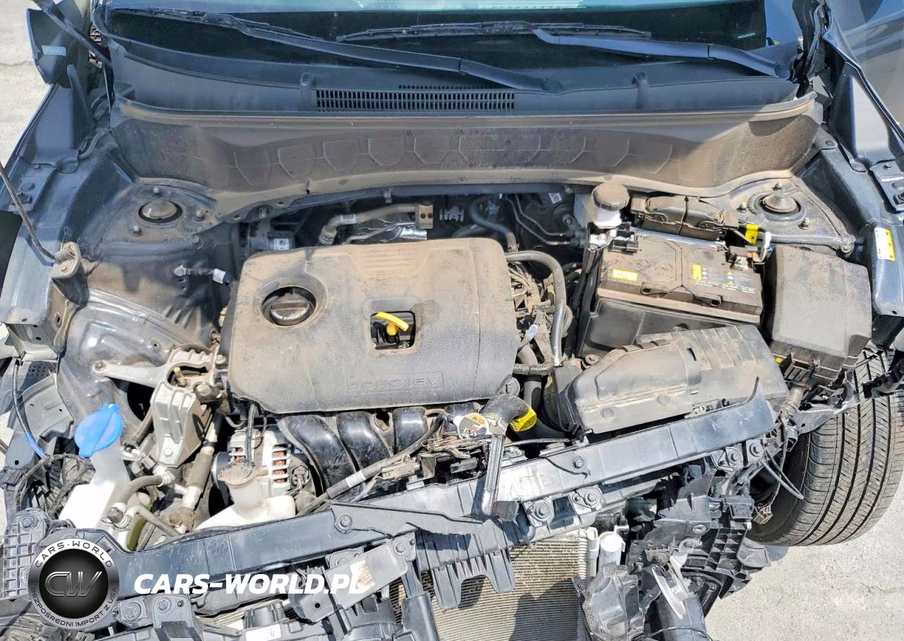 2024 Kia Seltos Ex VIN:KNDER2AA3R7663761 - 12