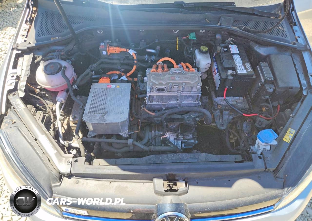 2019 Volkswagen E-Golf Se VIN:WVWKR7AU7KW914321 - 11