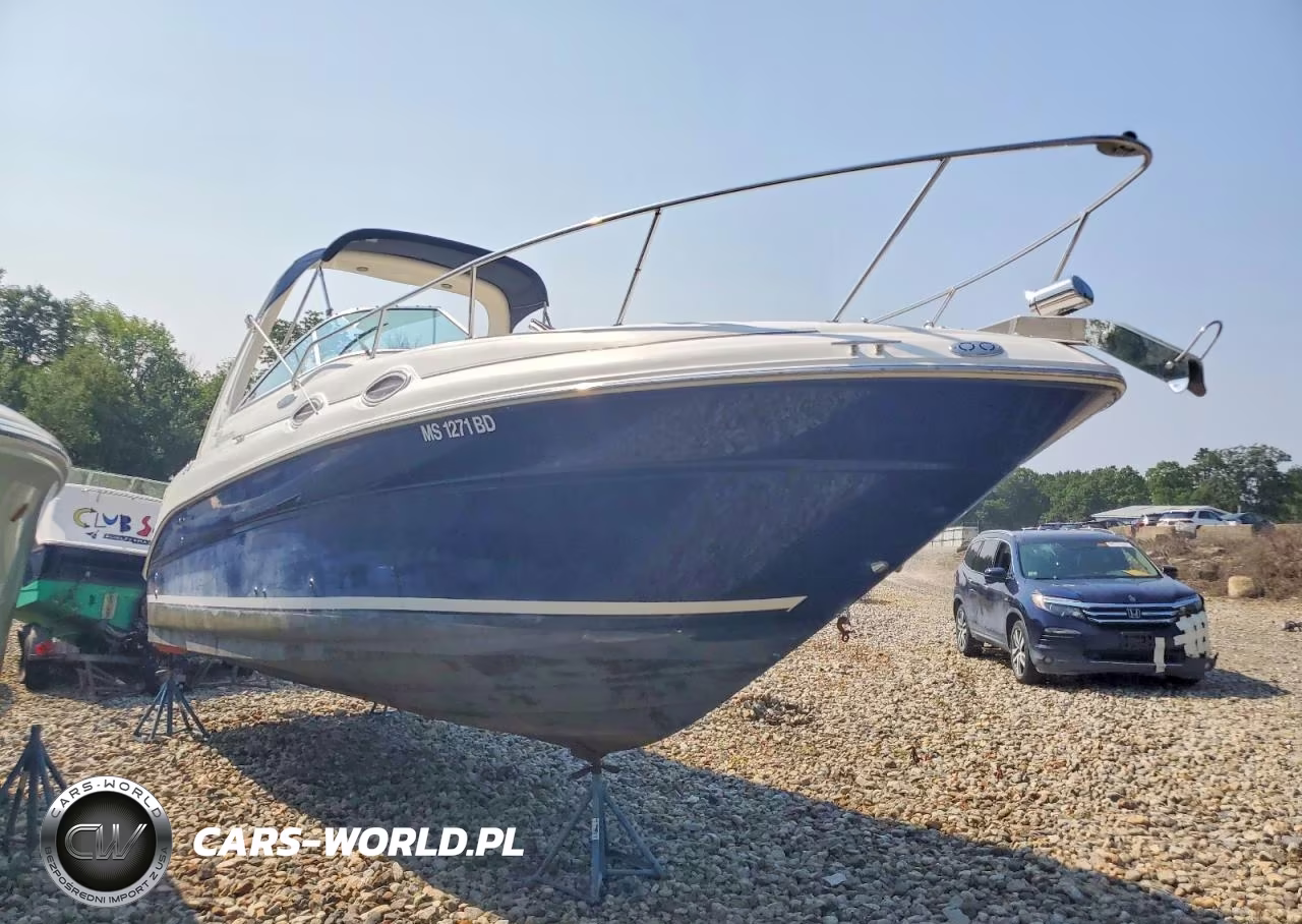 2004 Sea Ray Boat – zdjęcie 1 z 10