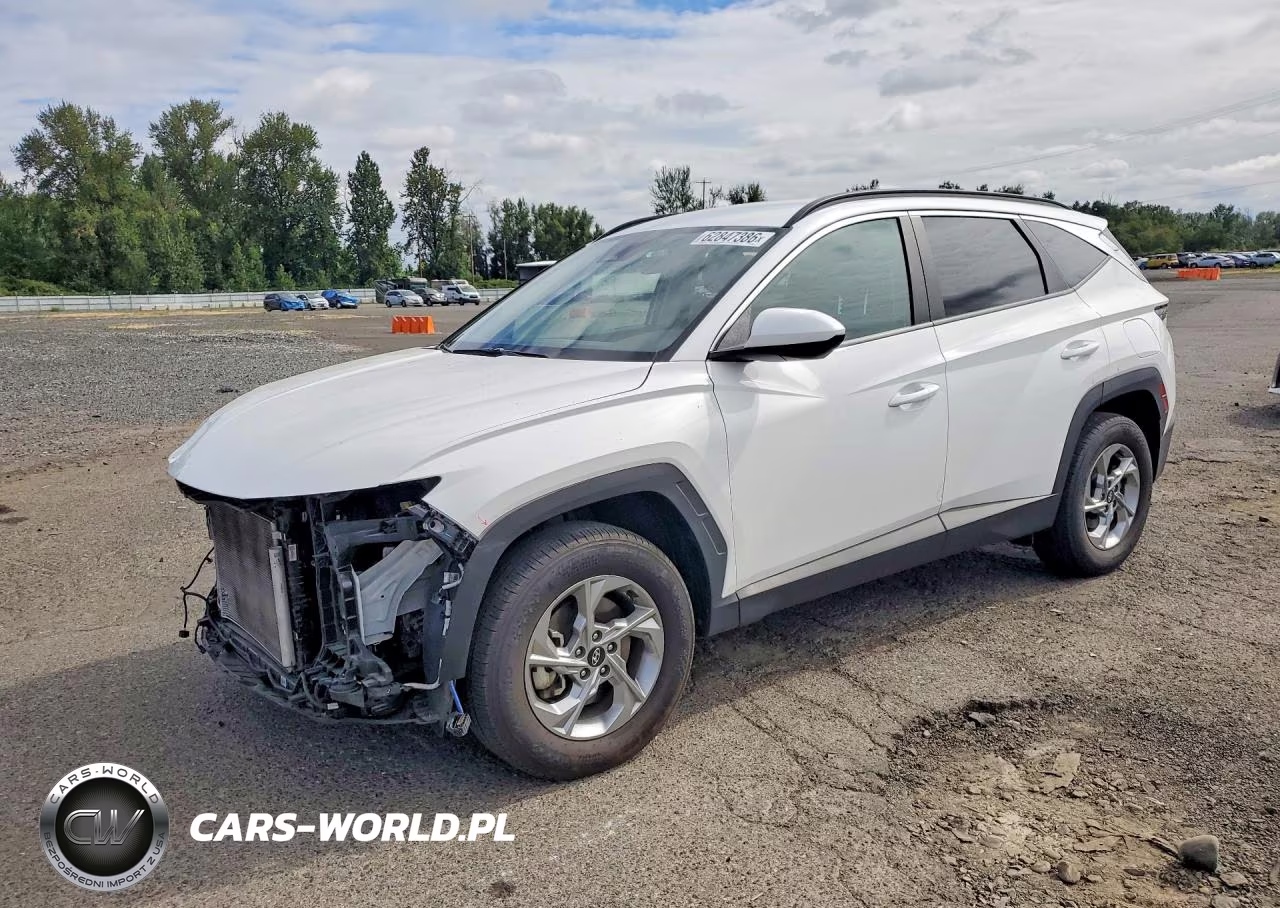 2024 Hyundai Tucson Sel VIN:5NMJBCDE0RH384526 - 1