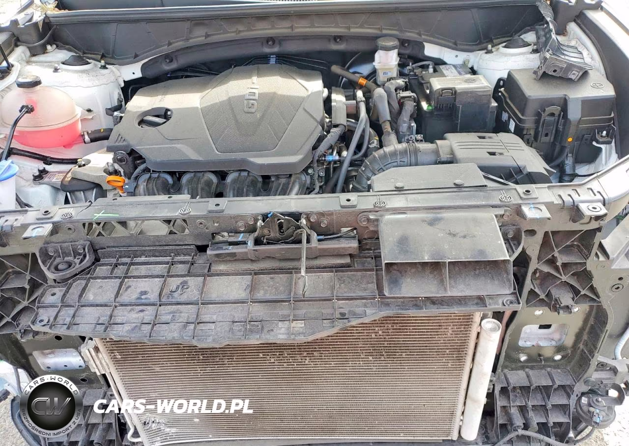 2024 Hyundai Tucson Sel VIN:5NMJBCDE0RH384526 - 11