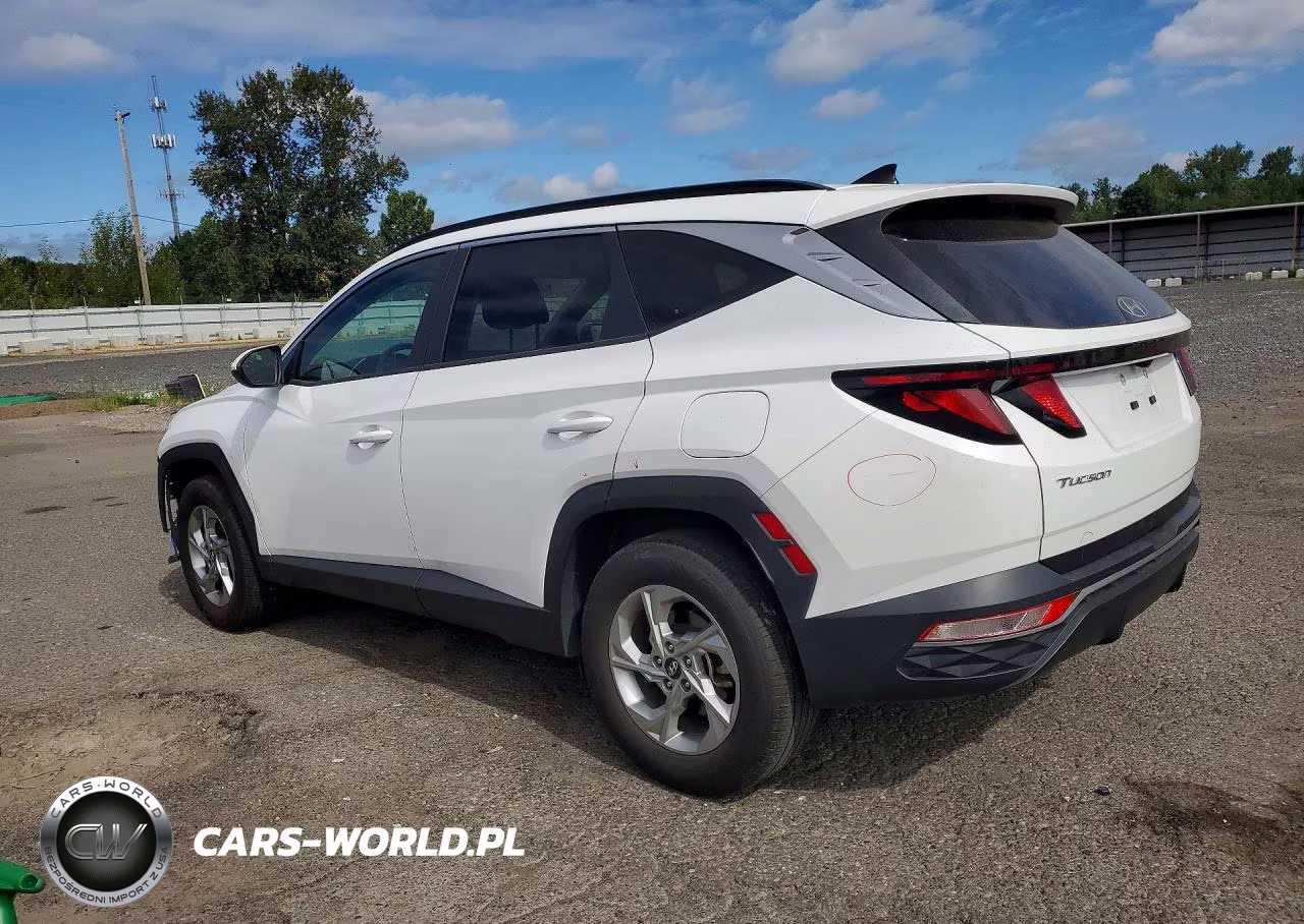 2024 Hyundai Tucson Sel VIN:5NMJBCDE0RH384526 - 2