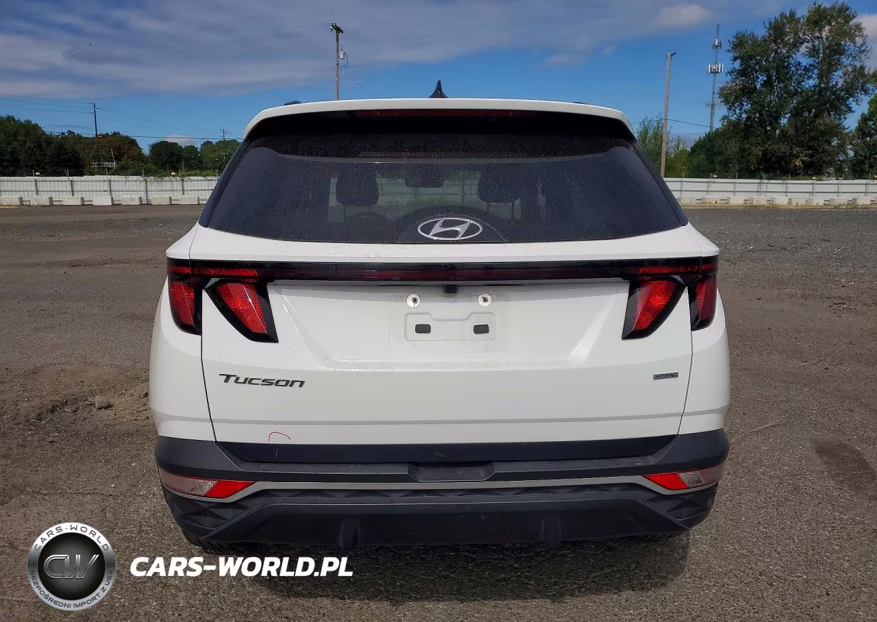 2024 Hyundai Tucson Sel VIN:5NMJBCDE0RH384526 - 6