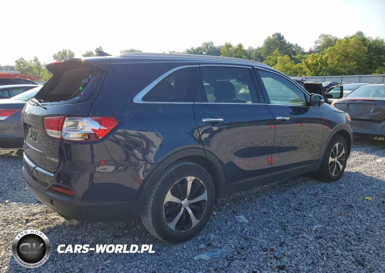 2017 Kia Sorento Ex VIN:5XYPH4A15HG264133 - 3