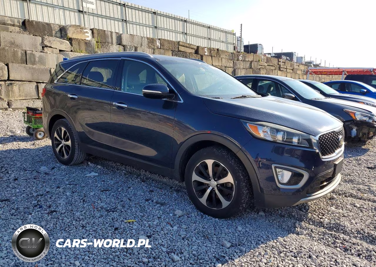 2017 Kia Sorento Ex VIN:5XYPH4A15HG264133 - 4