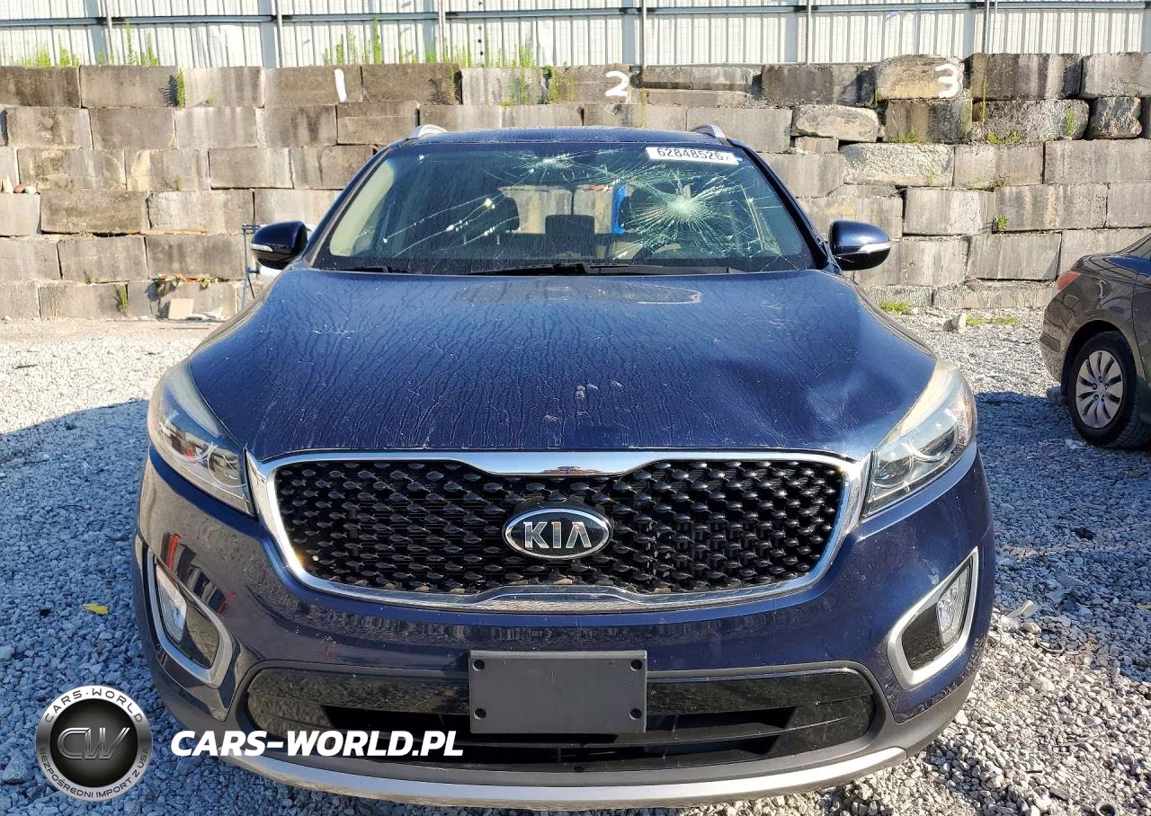 2017 Kia Sorento Ex VIN:5XYPH4A15HG264133 - 5