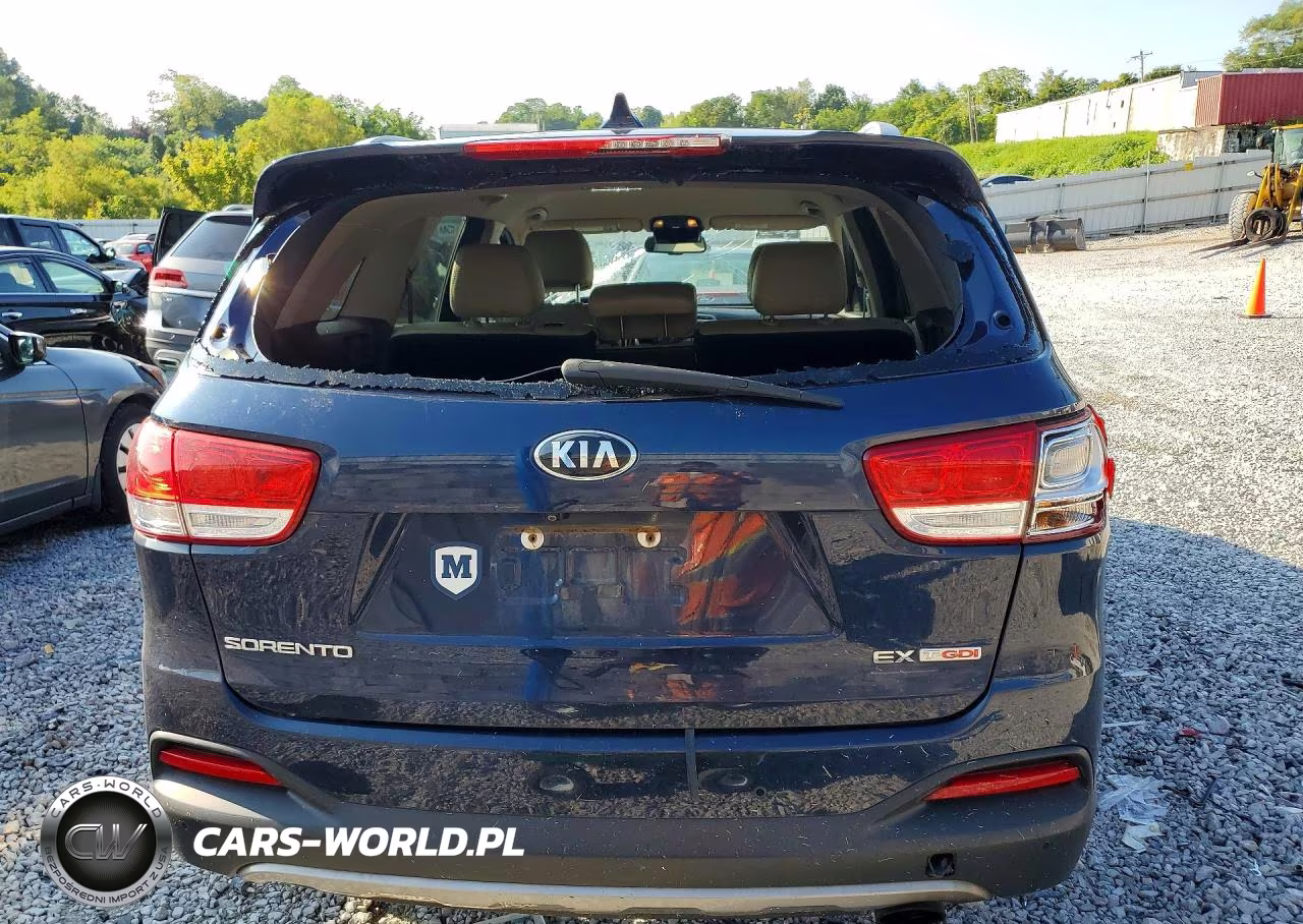 2017 Kia Sorento Ex VIN:5XYPH4A15HG264133 - 6