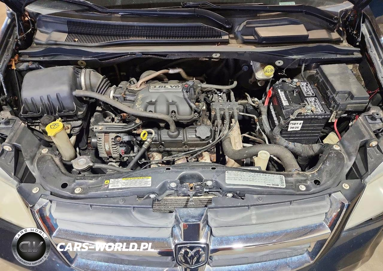 2010 Dodge Grand Caravan Sxt VIN:2D4RN5D16AR135647 - 12