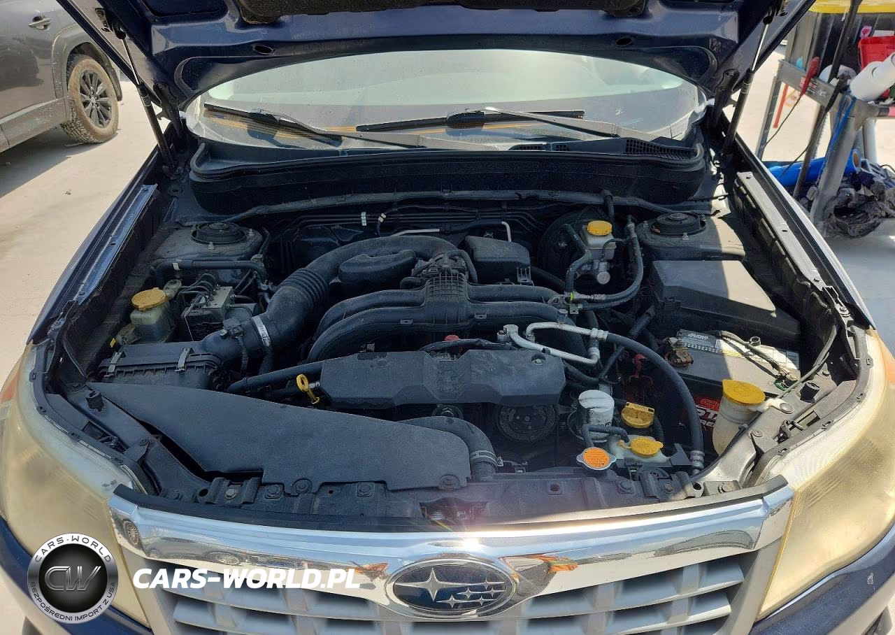 2013 Subaru Forester 2.5X VIN:JF2SHABC9DH422386 - 12