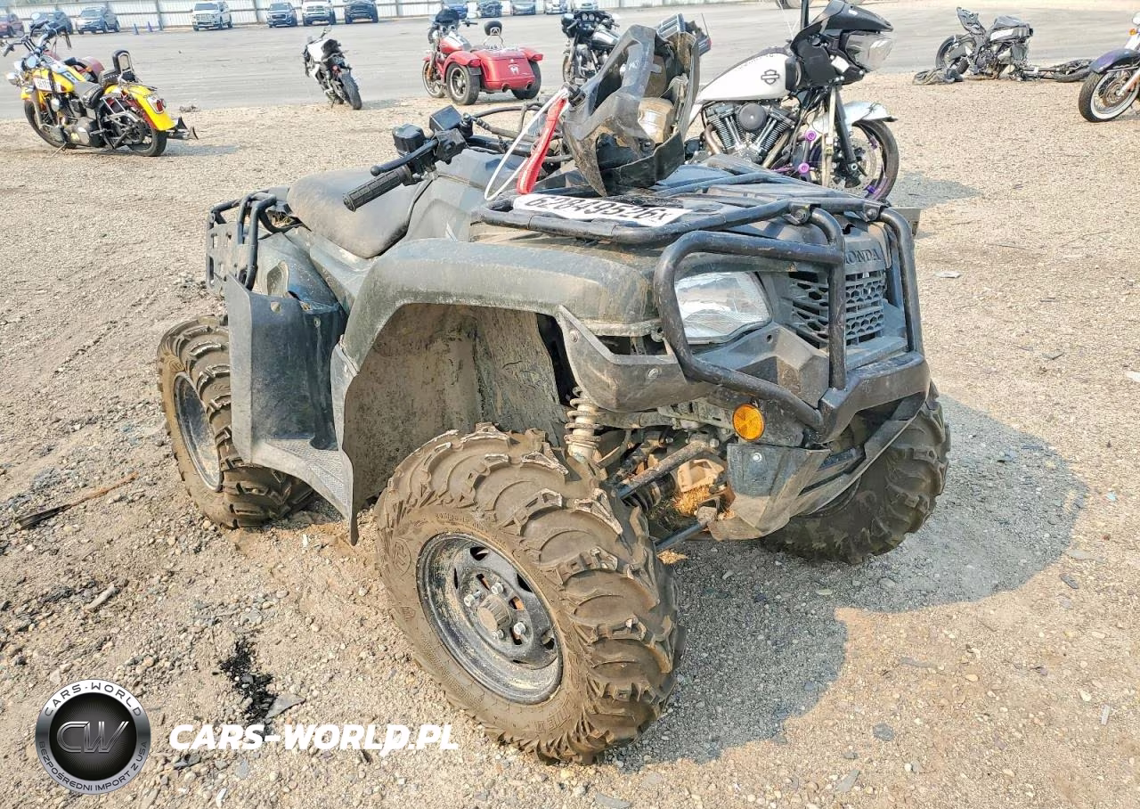 2024 Honda Foreman Atv – zdjęcie 1 z 10