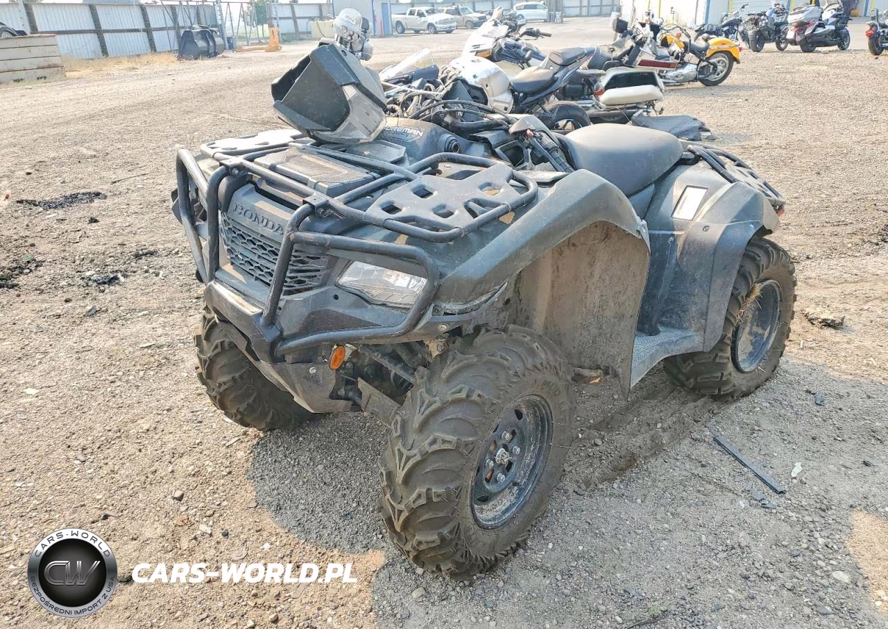2024 Honda Foreman Atv VIN:1HFTE4402RJ002572 - 2