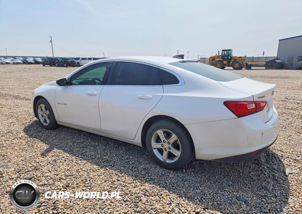 2020 Chevrolet Malibu Ls VIN:1G1ZC5STXLF132079 - 2