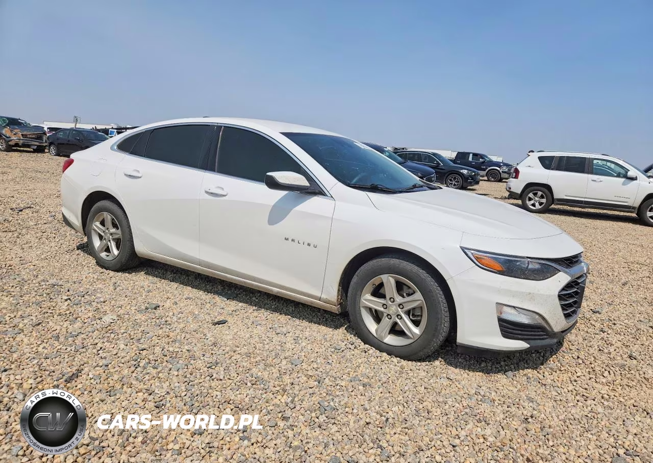 2020 Chevrolet Malibu Ls VIN:1G1ZC5STXLF132079 - 4