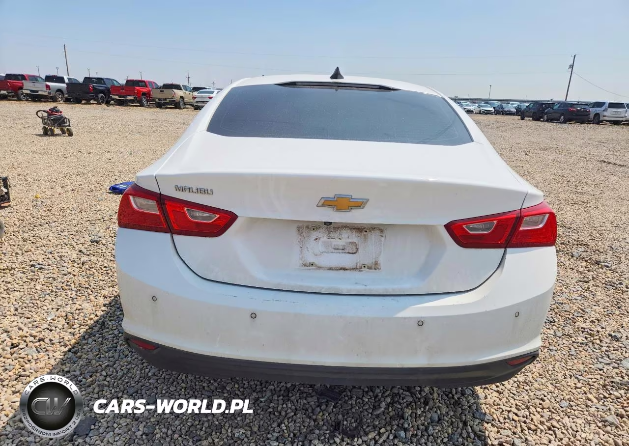 2020 Chevrolet Malibu Ls VIN:1G1ZC5STXLF132079 - 6