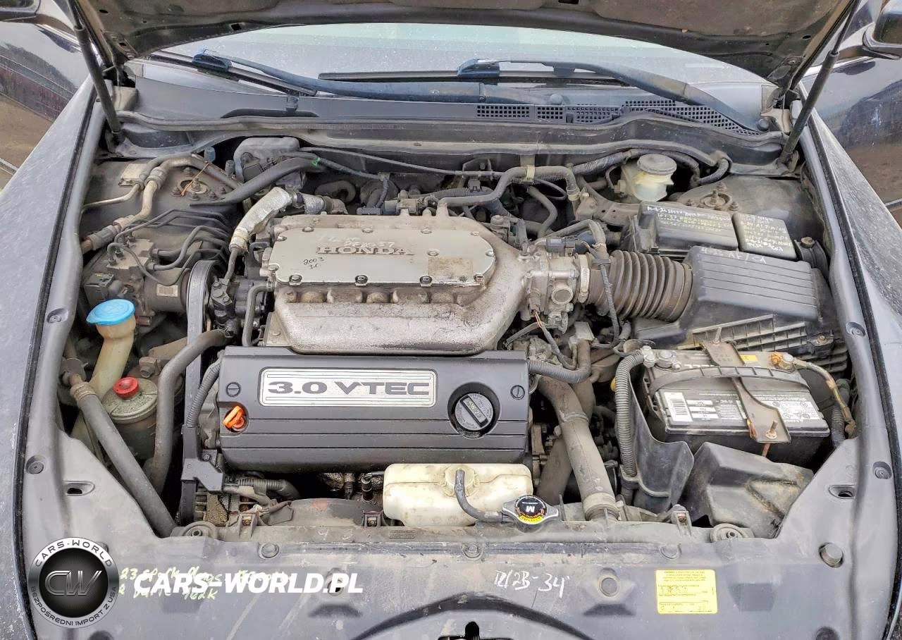 2003 Honda Accord Ex VIN:1HGCM66593A087257 - 11