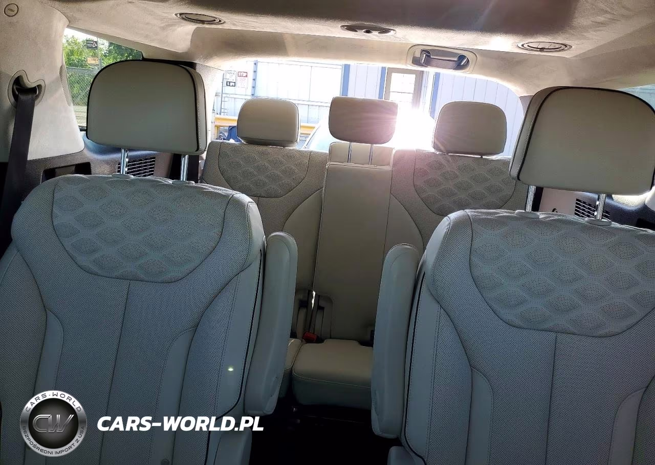 2020 Hyundai Palisade Limited VIN:KM8R5DHE6LU038602 - 10