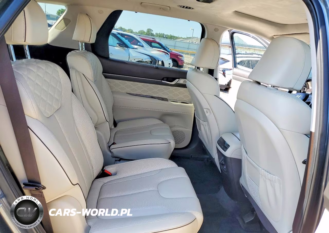 2020 Hyundai Palisade Limited VIN:KM8R5DHE6LU038602 - 11