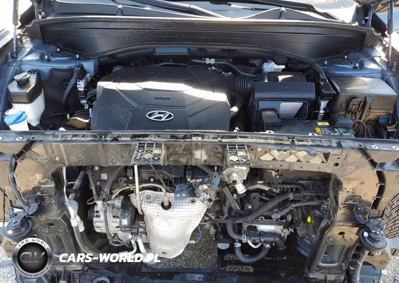 2020 Hyundai Palisade Limited VIN:KM8R5DHE6LU038602 - 12