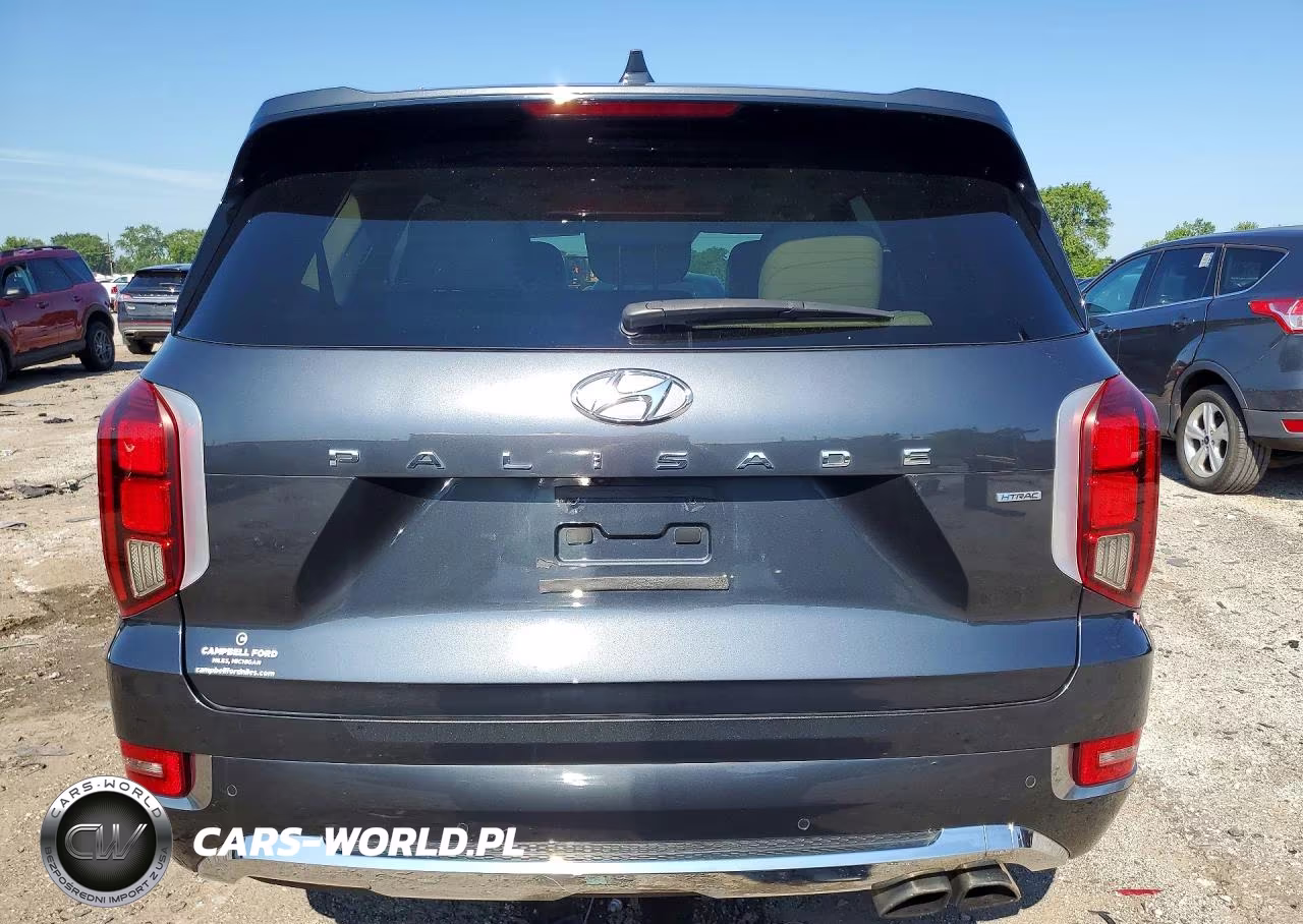 2020 Hyundai Palisade Limited VIN:KM8R5DHE6LU038602 - 6