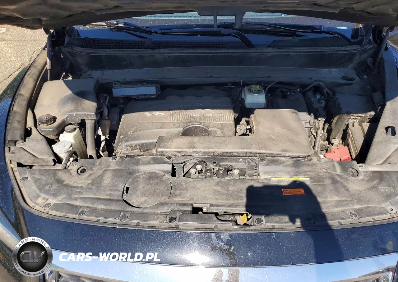 2019 Infiniti Qx60 Luxe VIN:5N1DL0MM4KC563278 - 12