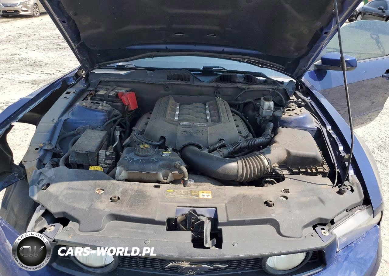 2011 Ford Mustang Gt VIN:1ZVBP8CF8B5119680 - 11