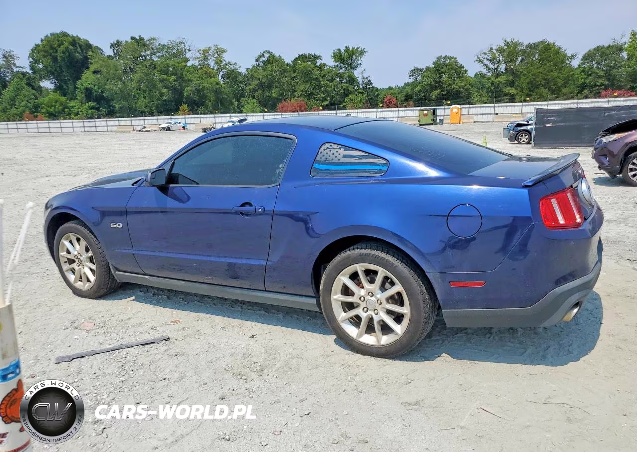 2011 Ford Mustang Gt VIN:1ZVBP8CF8B5119680 - 2