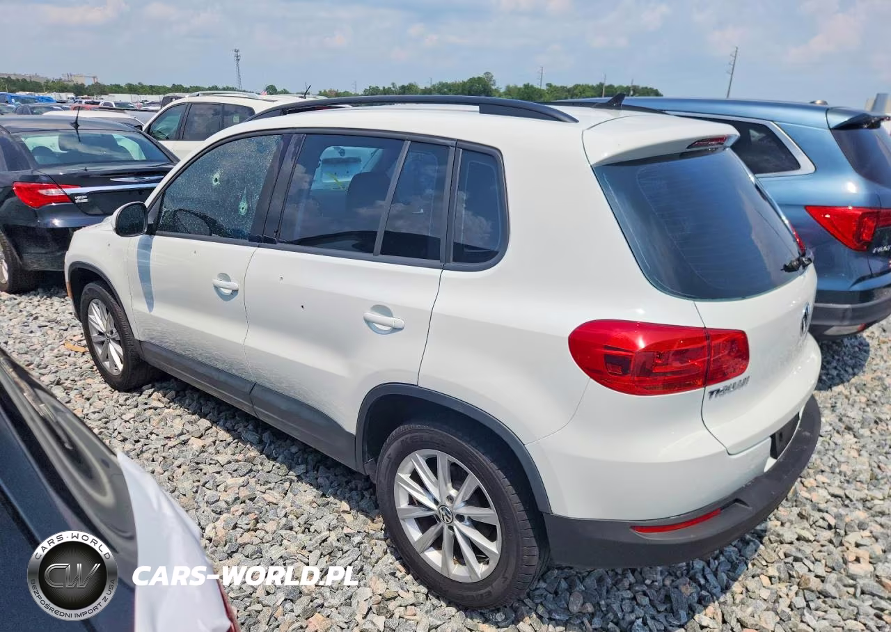 2017 Volkswagen Tiguan S VIN:WVGAV7AX9HK049235 - 2